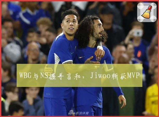 WBG与NS握手言和,Jiwoo斩获MVP
