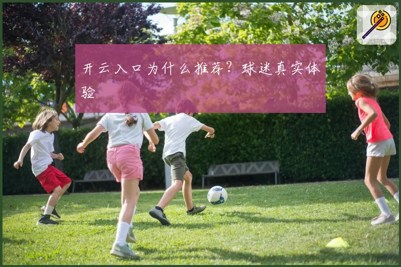 开云入口为什么推荐？球迷真实体验